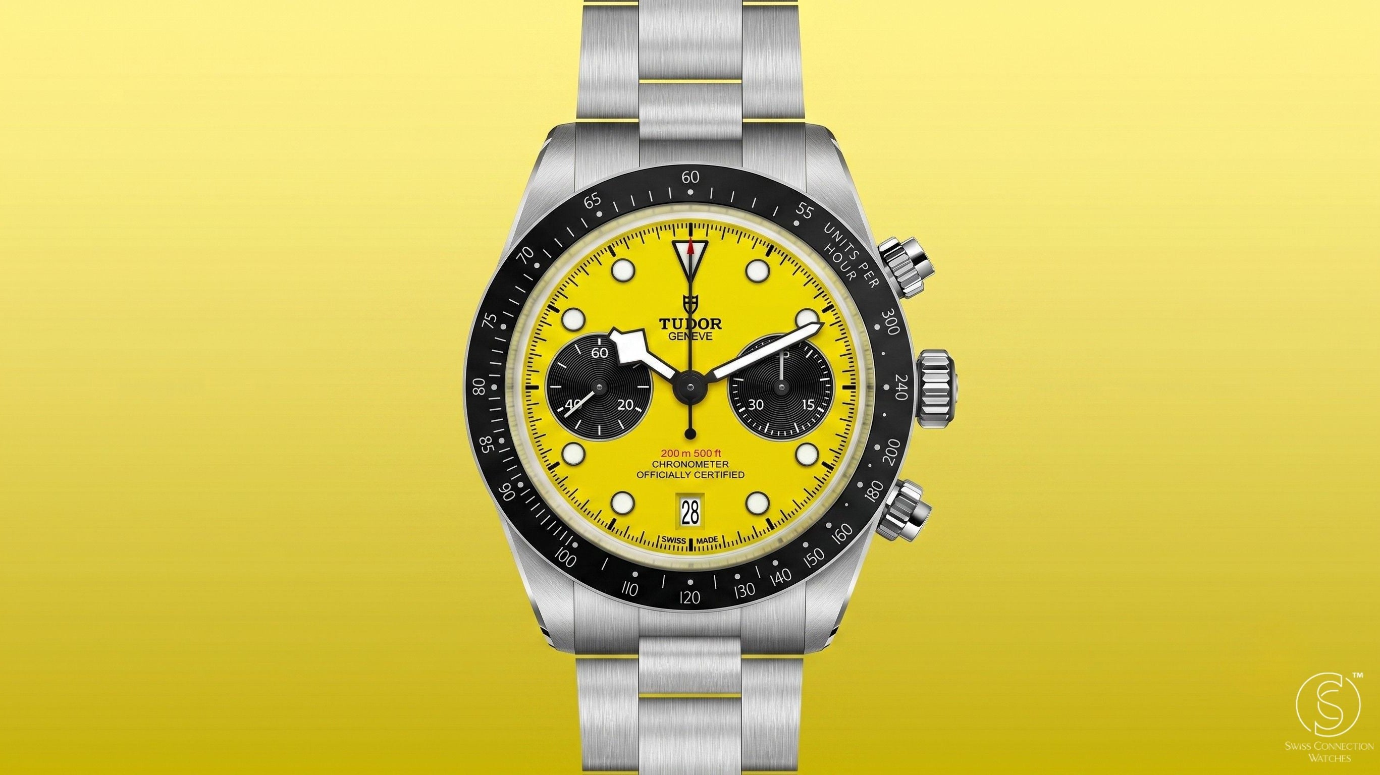 Tudor Heard You: The Bumblebee and a Brand That's Paying Attention