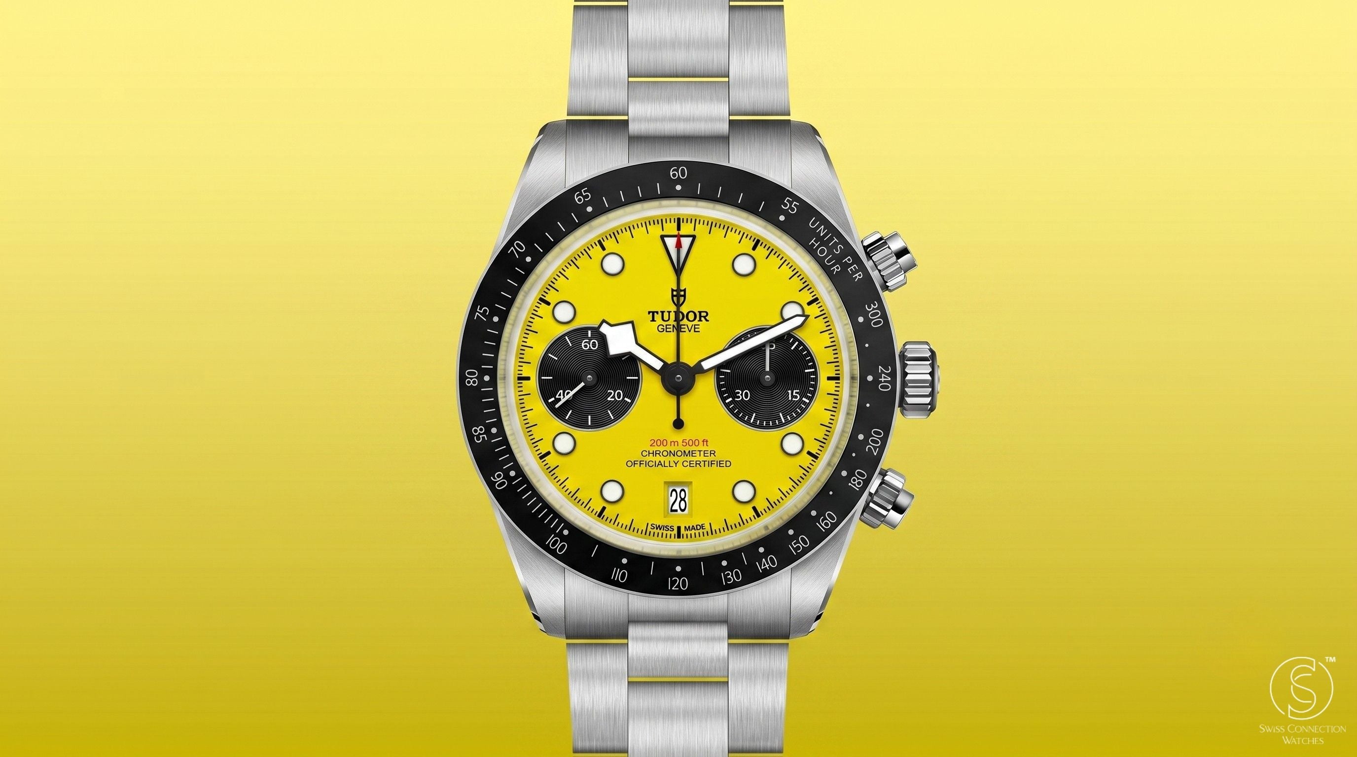 Tudor Heard You: The Bumblebee and a Brand That's Paying Attention