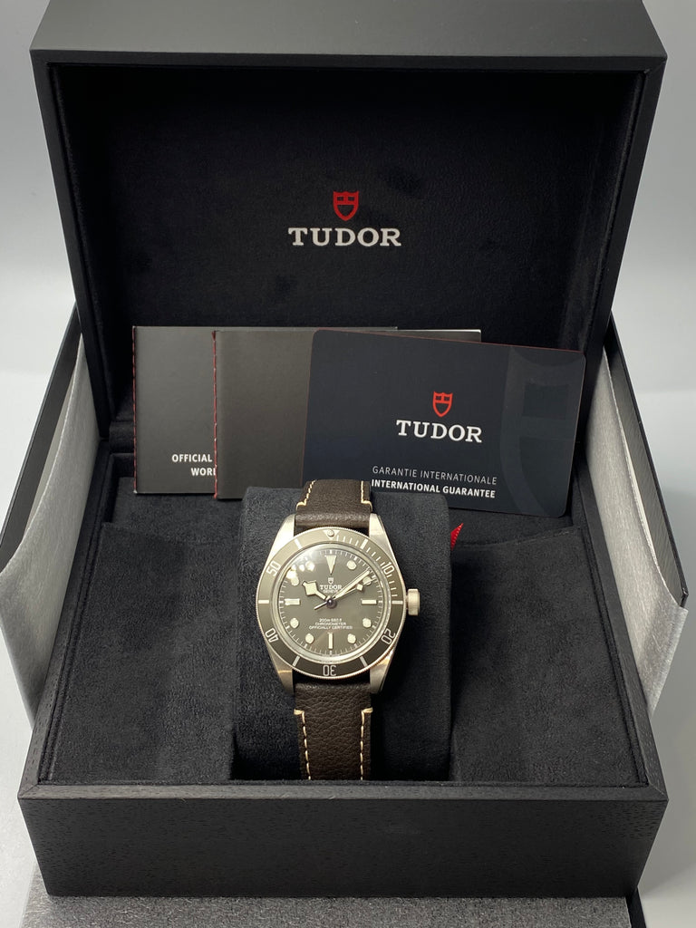 Tudor Black Bay 58 Silver 925 - 39mm 79010SG